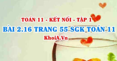 Bài 2.16 trang 55 SGK Toán 11 tập 1 Kết nối tri thức